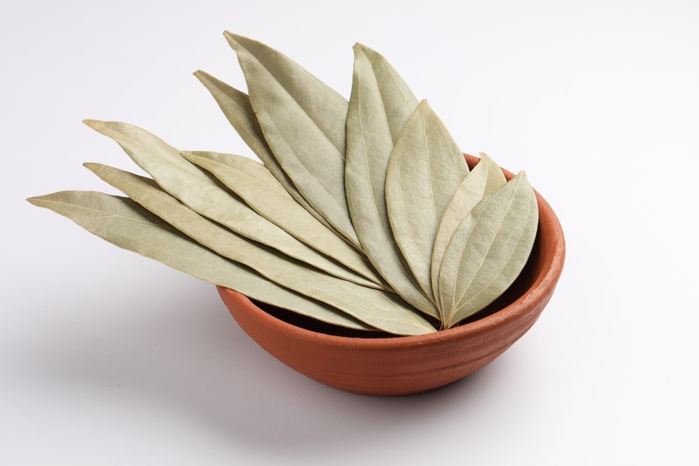 svogūnų ir lauro lapų sirupas – žali lauro lapai iš arti, pabrėžiantys natūralių augalinių ingredientų naudojimą kosulio ir peršalimo sezonu.