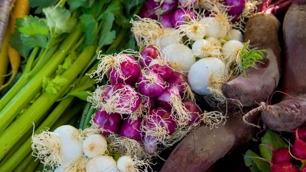 svogūnų nauda žiemą švieži svogūnai su lapais