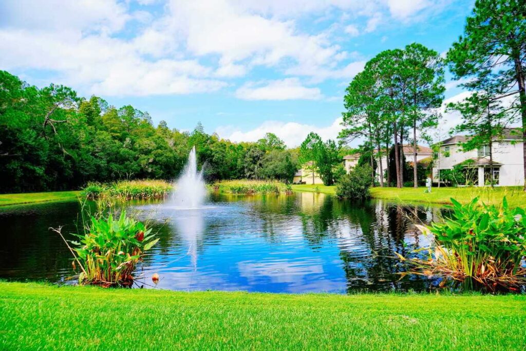 Augalai prie tvenkinio žaliuoja tvarkingoje pakrantėje su fontanu viduryje.