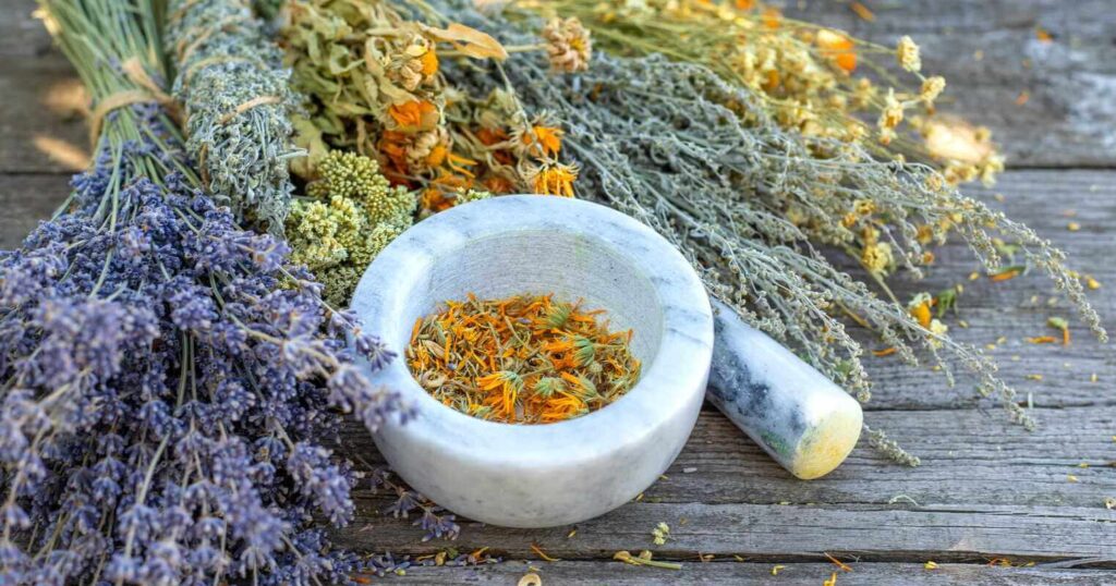 aukštas kraujospūdis ir džiovintos žolelės sugrūstos skiedinyje