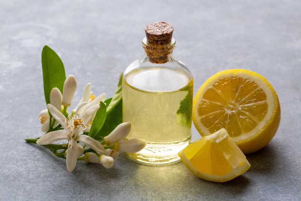 eteriniai aliejai namų orui su citrinų eteriniu aliejumi, šviežiu vaisiumi ir žiedais ant šviesaus fono