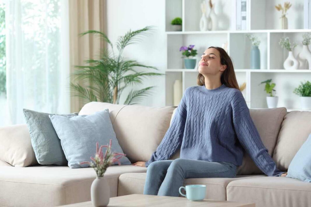 eteriniai aliejai namų orui kuriantys ramią ir gaivią atmosferą svetainėje