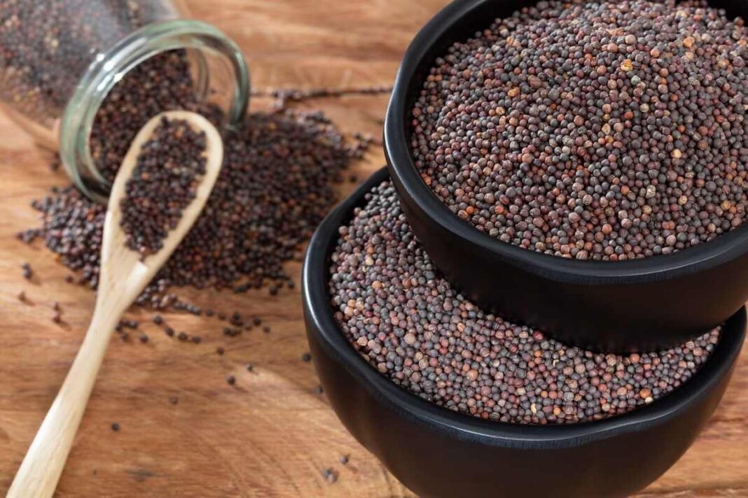 garstyčių sėklos sveikatai subertos į dubenėlius su mediniu šaukštu