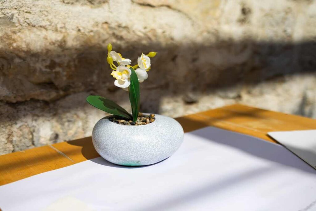 orchidėjų auginimas namuose su maža orchidėja dekoratyviniame vazone natūralioje namų aplinkoje