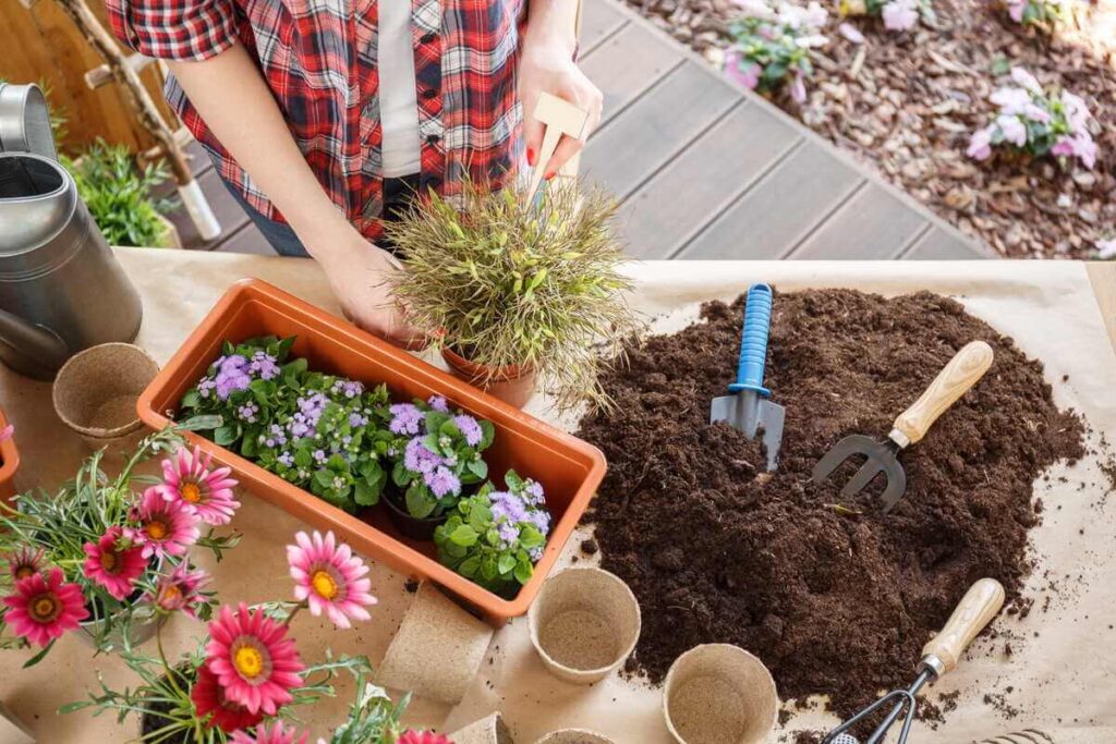 pavasario darbai kieme su gėlių sodinimu vazonuose, žeme ir sodo įrankiais ant stalo