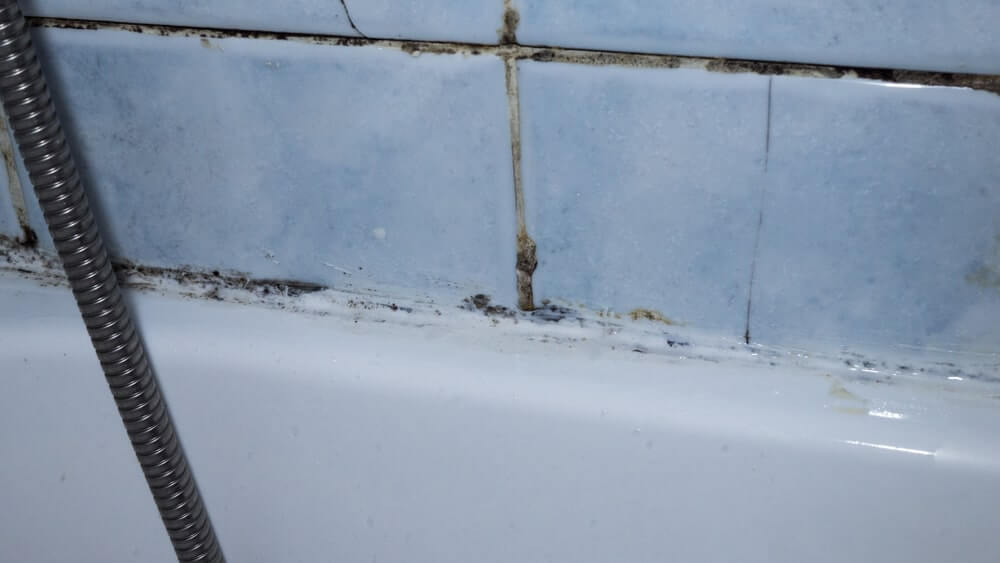 Pelėsis vonioje matomas tarp plytelių ir vonios krašto