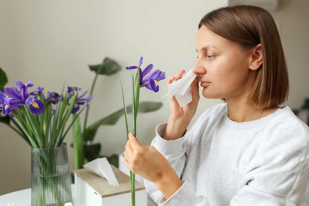 Sezoninės alergijos gydymas padeda išvengti stiprios slogos kurią suprovokuoja tiesioginis sąlytis su žydinčiais augalais kambaryje.