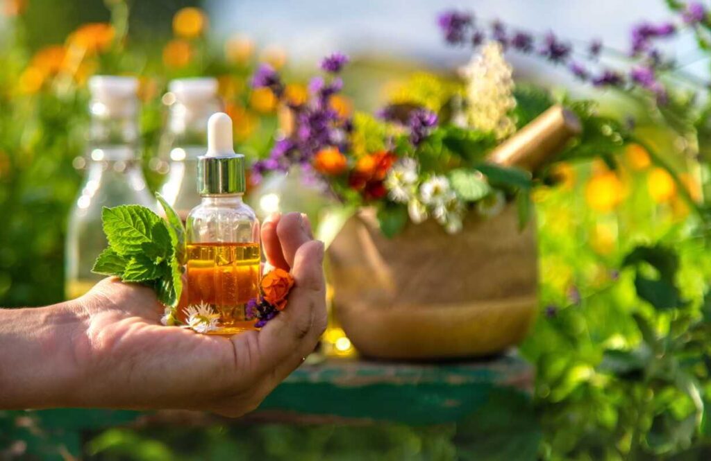 Vaistažolės jūsų kieme virsta koncentruotais aliejais ir gydomaisiais skysčiais tiesiai iš šviežių augalų.