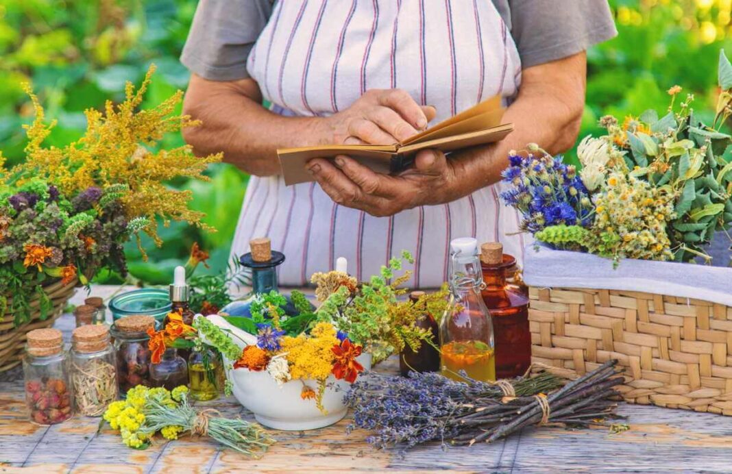 Vaistažolės jūsų kieme auginamos ir naudojamos pagal senuosius žolininkų užrašus bei ilgametę patirtį.