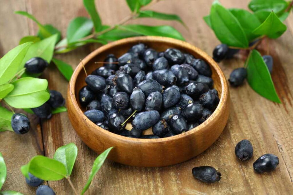 vaistinis augalas mirta su tamsiomis uogomis mediniame dubenėlyje