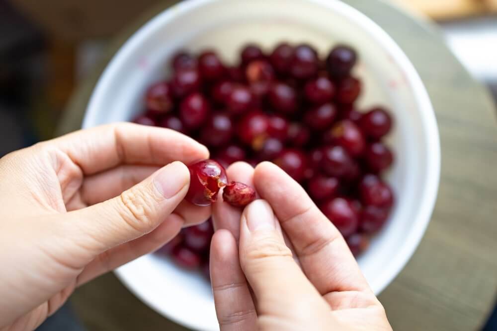 Vyšnios kauliukas atskiriamas nuo minkštimo rankomis ir peiliu