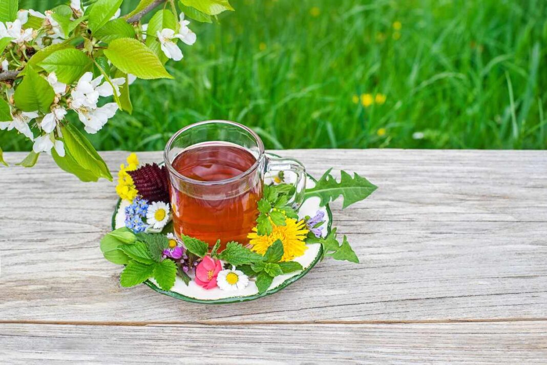 arbatos imunitetui užpilas puodelyje apsuptas spalvingų pavasario gėlių žiedų sode.