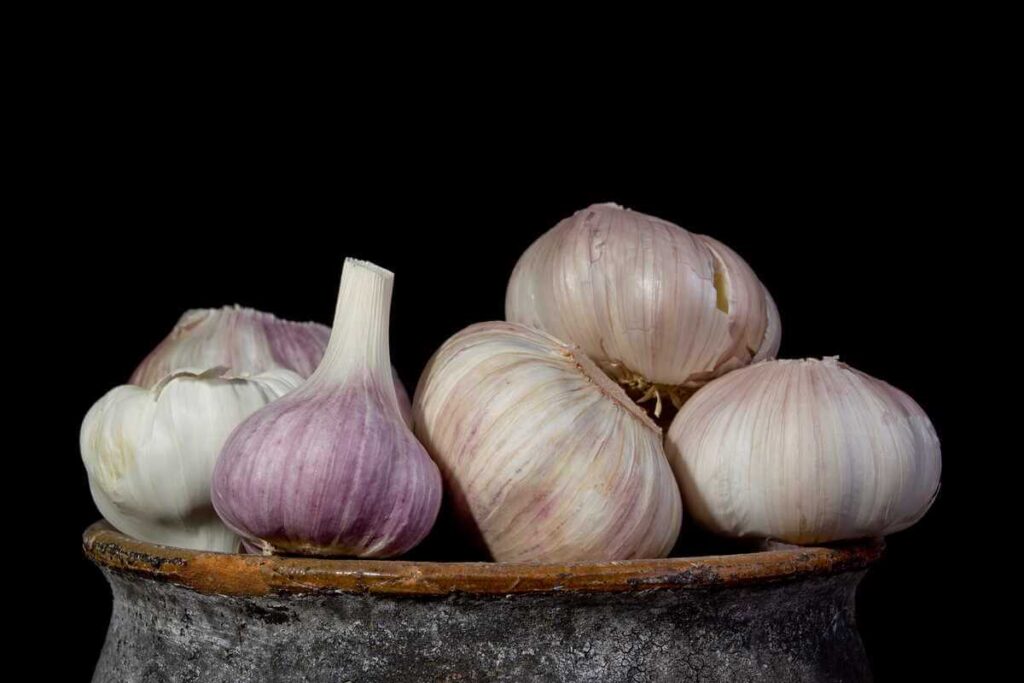 Česnakas vazone padeda dezinfekuoti žemę ir saugo kambarinius augalus nuo grybelinių infekcijų plitimo.