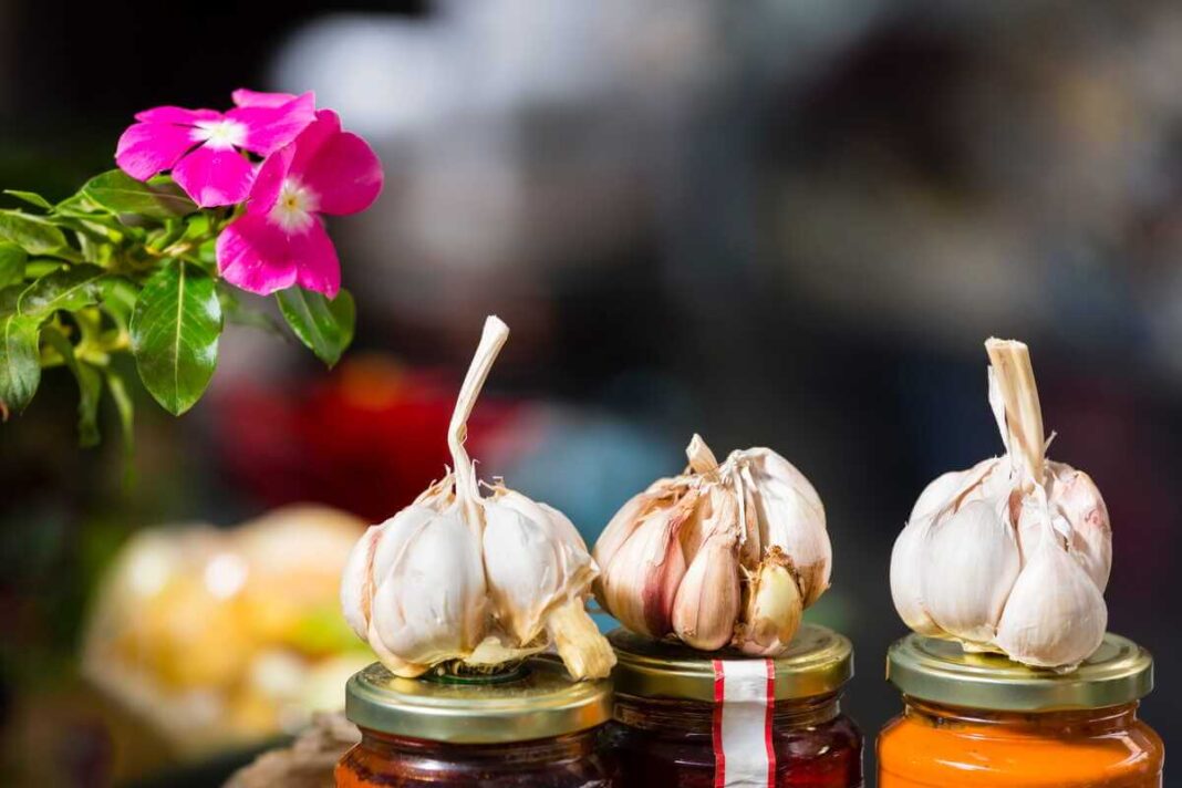 Česnakas vazone naudojamas šalia žydinčių kambarinių gėlių, siekiant natūraliai atbaidyti skraidančias museles.