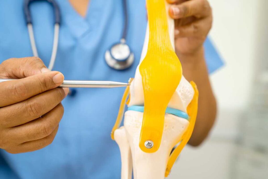 Kalcio šaltiniai yra būtini tvirtai kaulų struktūrai palaikyti, o jų trūkumas gali tiesiogiai paveikti sąnarių ir skešto būklę vyresniame amžiuje.