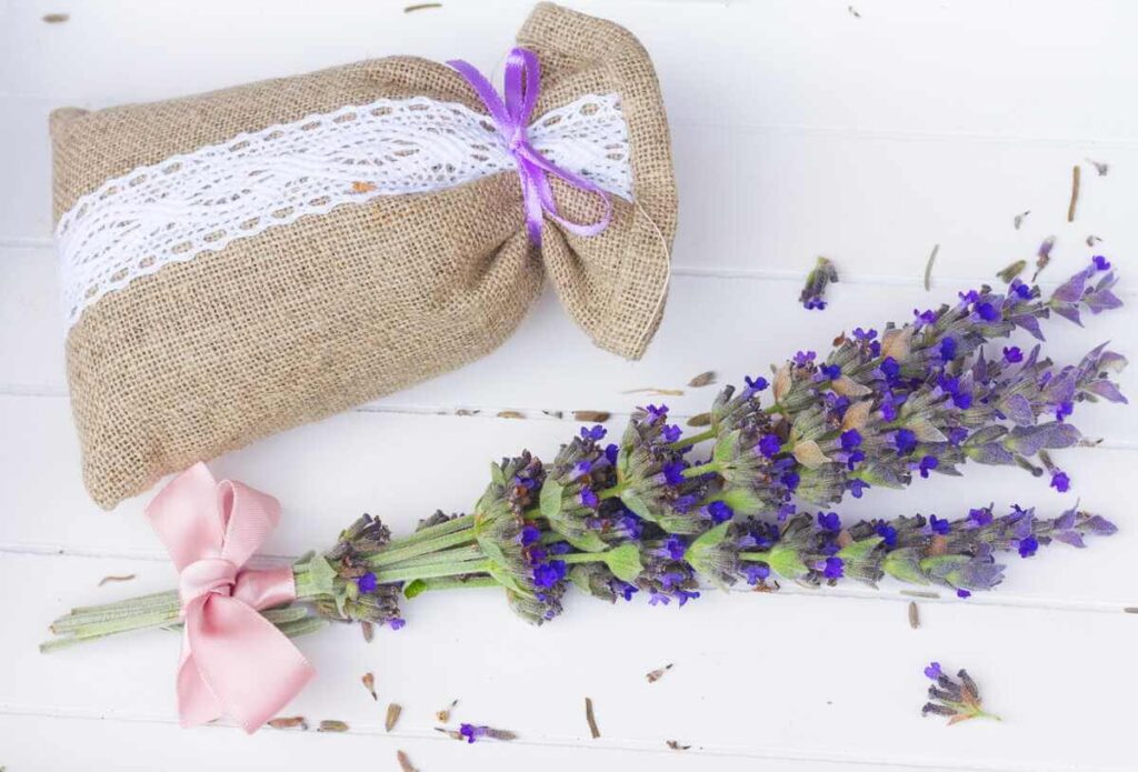 Kandžių naikinimas naudojant aromatingus džiovintų augalų ryšulėlius, kurie veikia kaip natūralus repelentas.