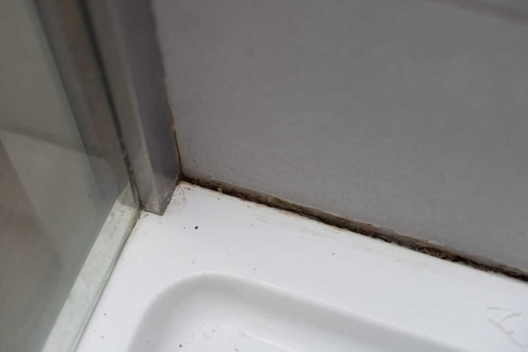 Pelėsio naikinimas vonioje naudojant natūralų tirpalą, kuris purškiamas tiesiai ant pajuodusių plytelių tarpų ir silikono.