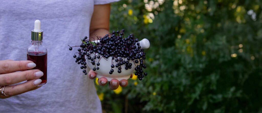 Šeivamedžio sirupas laikomas mažame buteliuke šalia dubenėlio su šviežiai nuskintomis juodojo šeivamedžio uogomis.