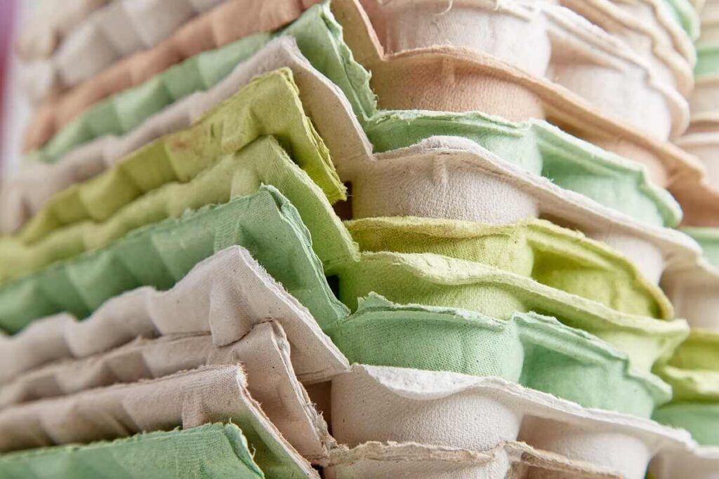 Svogūnų auginimas namuose naudojant perdirbtus kartoninius kiaušinių dėklus kaip tvarią alternatyvą vazonams.