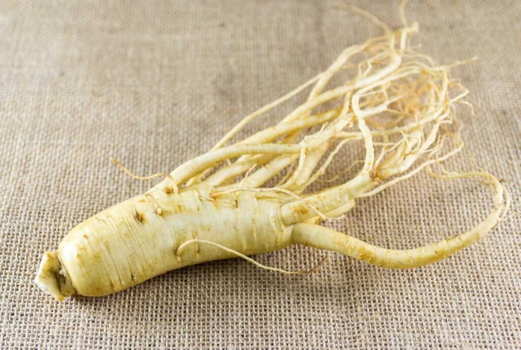 Ženšenio nauda organizmui pradedama vertinti nuo kokybiškos, gerai išdžiovintos ir tinkamai paruoštos vaistinio augalo šaknies.