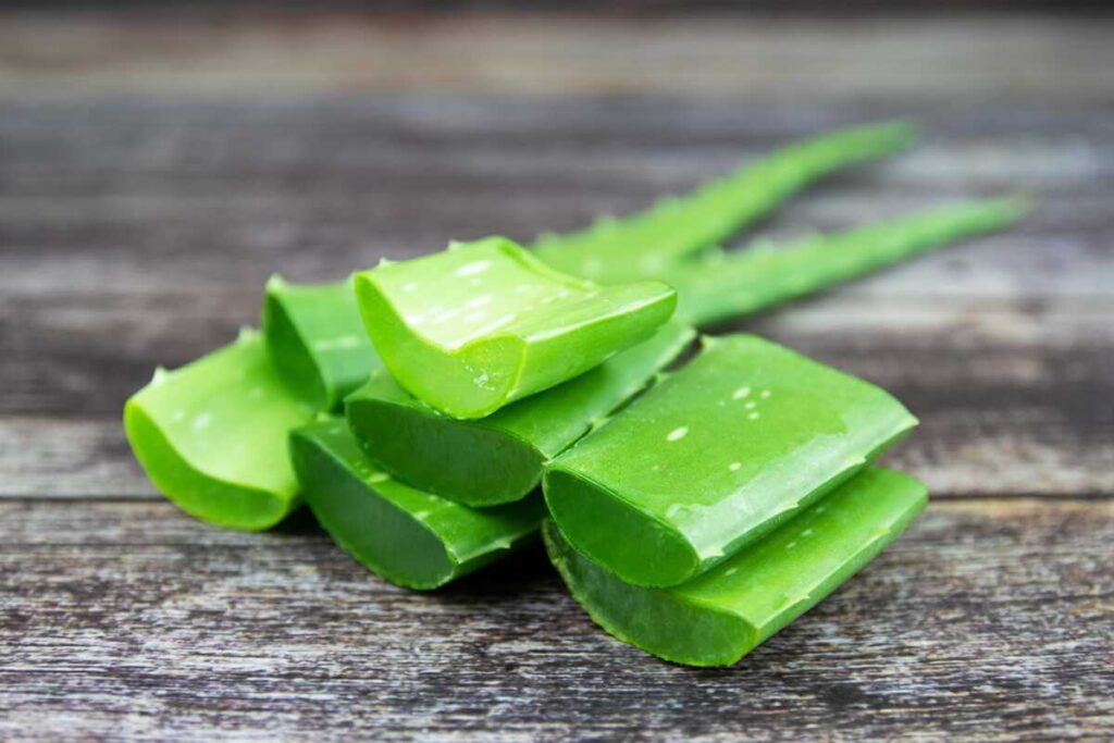 Alavijo vartojimas bus saugus tik tinkamai nuvalius žaliąją žievę nuo sultingų gabalėlių.