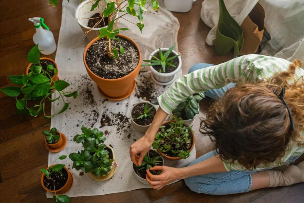 Kambariniai augalai ant grindų persodinimo metu, kai mergina rūpinasi savo namų džiunglėmis.