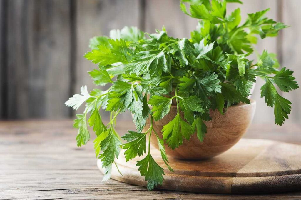 Petražolių auginimas namuose užtikrina šviežią derlių, kai vešlus žalias ryšulėlis merkiamas į medinį dubenėlį ant pjaustymo lentos.