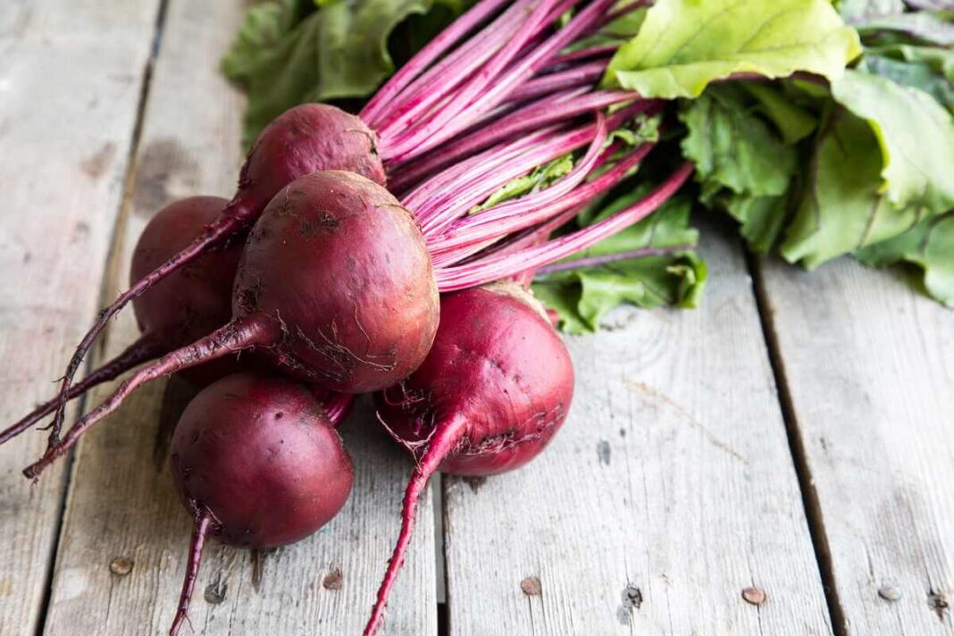 Saldžiausios burokėlių veislės, surištos į ryšulėlį, nufotografuotos iš arti ant tamsaus medinio fono.