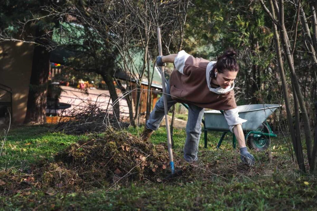 Sodo darbai pavasarį grėbiant pernykščius lapus bei tvarkant aplinką po žiemos sezono.