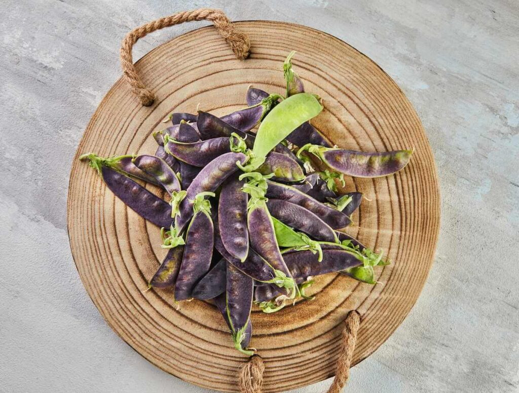 Žirnių auginimas ir nuskintas derlius su violetinėmis bei žaliomis ankštimis ant medinio pagrindo.