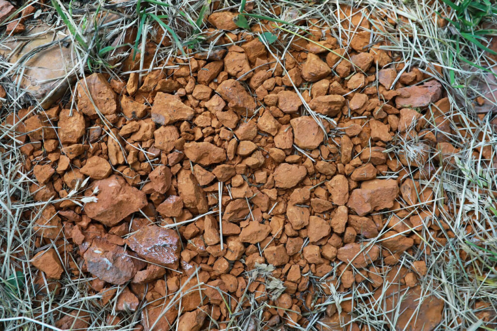 Keramzitas sode. Keramzitas puikiai drenuoja lysves