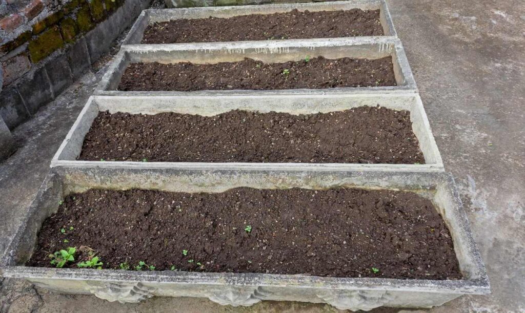 Pievagrybių kompostas pildomas į ilgas betonines talpas sode ruošiantis pavasario sėjai ir daržovių auginimui.