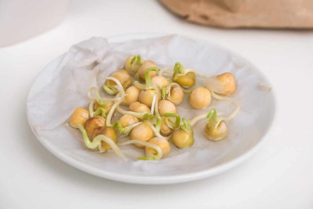 Sėklų dygimo skatinimas geriausiai pavyksta užtikrinant drėgmę, o ne papildomus priedus, ką įrodo sėkmingai sudygęs žirnis.