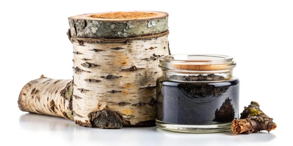 Skruzdeles ir amarai sode. Beržo degutas.