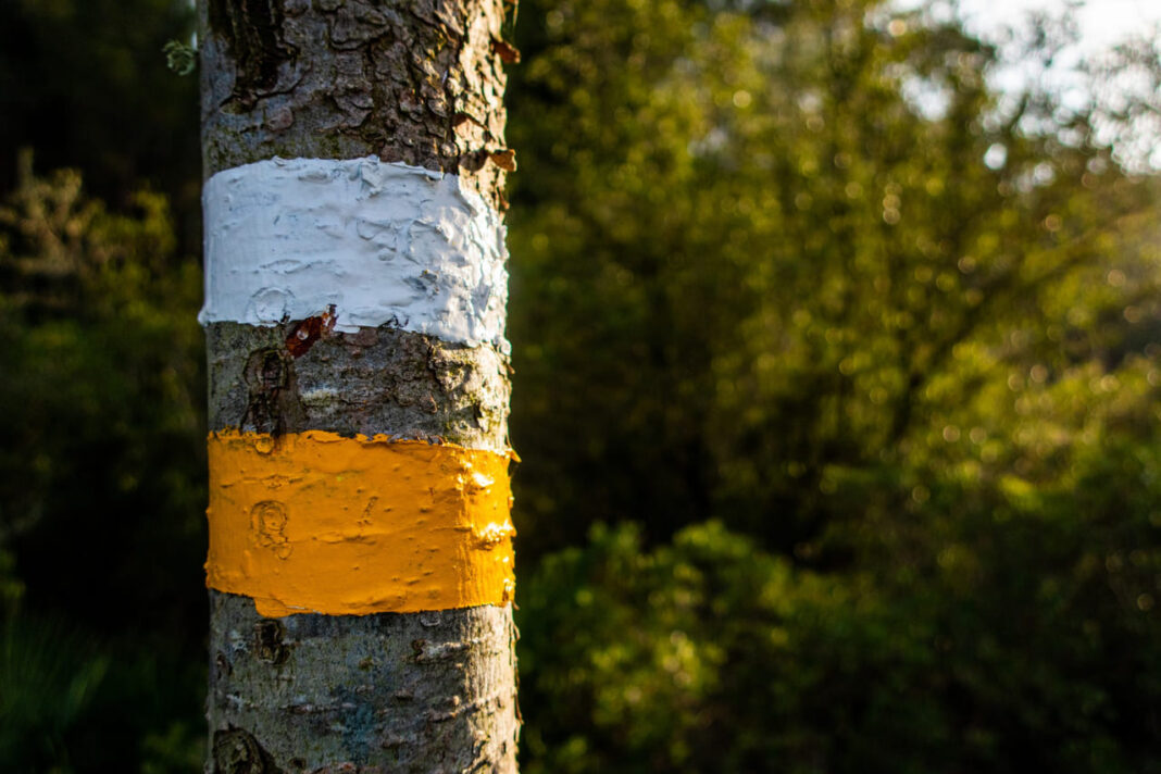 Sodo apsauga nuo kenkėjų.