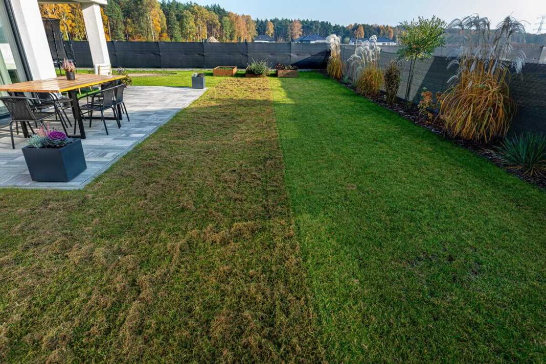 Vejos skarifikavimas pavasarį matomas šiame kieme, kur pusė vejos jau apdorota, o kita dalis dar laukia savo eilės.