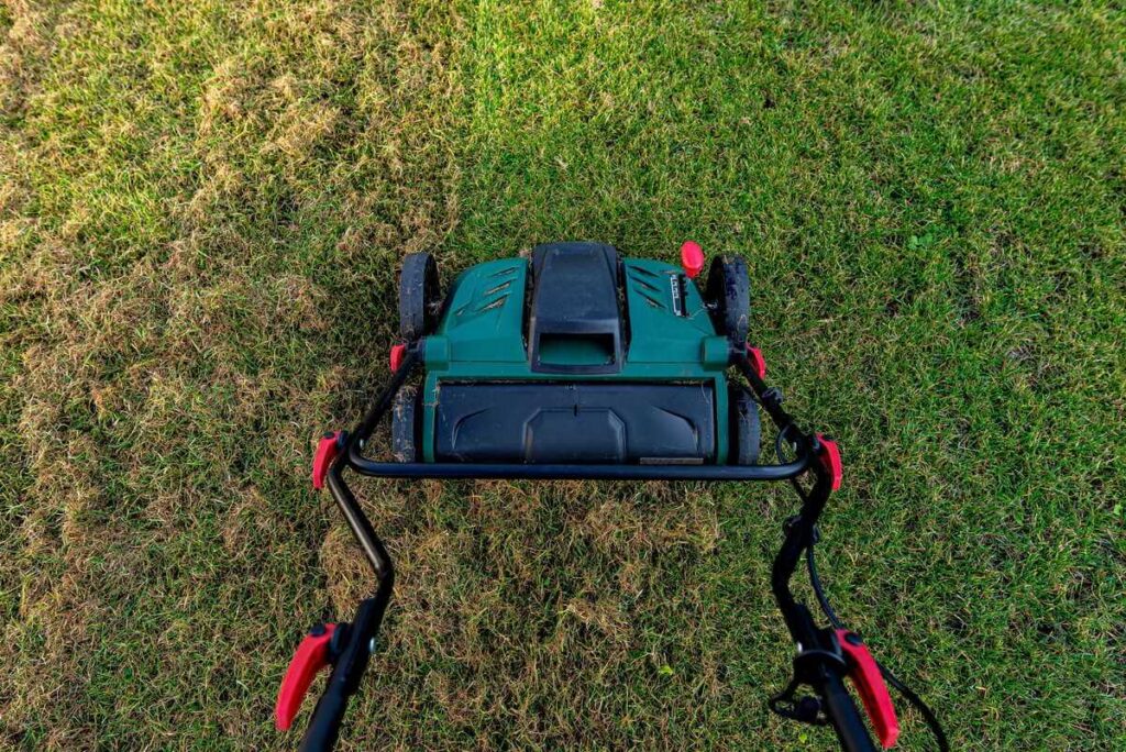 Vejos skarifikavimas pavasarį atliekamas naudojant elektrinį prietaisą, kuris iš žolės pašalina susikaupusį veltinį bei samanas.