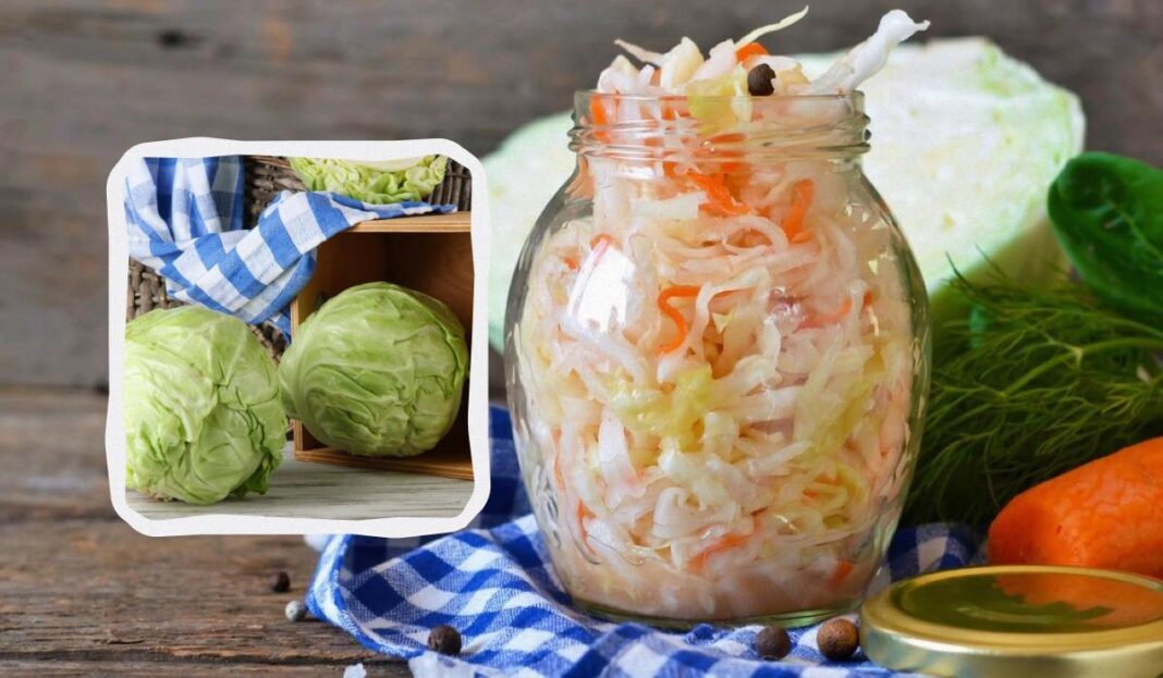 Stiklainis raugintų kopūstų, šviežių kopūstų galvos, morkos ir krapai