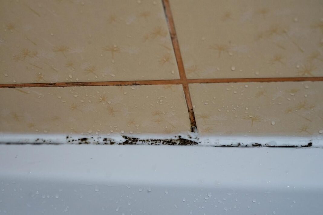Juodos pelėsio žymės ir vandens lašeliai ant vonios krašto bei plytelių